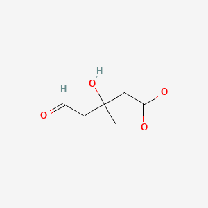 molecular formula C6H9O4- B1259580 Mevaldate 