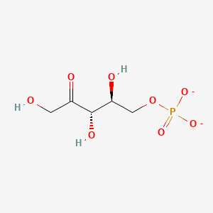 molecular formula C5H9O8P-2 B1259622 5-O-膦酸基-L-核酮糖 