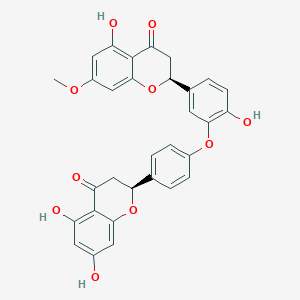 molecular formula C31H24O10 B1259626 7-O-Methyltetrahydroochnaflavone 