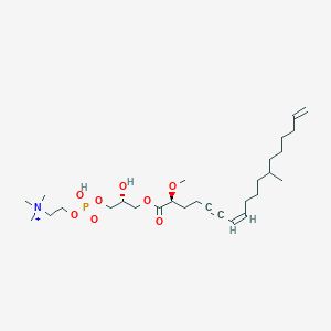 molecular formula C28H51NO8P+ B1259696 Stellettacholine A 