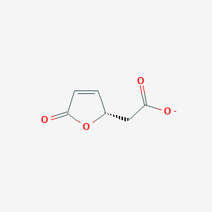 (S)-5-oxo-2,5-dihydro-2-furylacetate