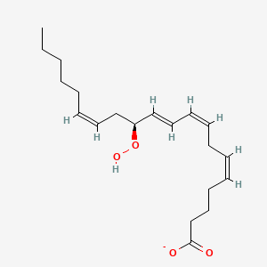 (5Z,8Z,10E,12S,14Z)-12-hydroperoxyicosa-5,8,10,14-tetraenoate