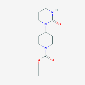 molecular formula C14H25N3O3 B12600729 Tert-butyl 4-(2-oxotetrahydropyrimidin-1(2H)-YL)piperidine-1-carboxylate CAS No. 902133-66-8