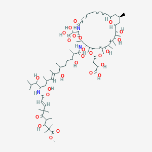 4-[[(1S,34S,36R)-15-[carboxy(hydroxy)methyl]-20,26,30,32-tetrahydroxy-18,21,25,27,29,31,36-heptamethyl-13,16-dioxo-19-[[(E)-3,7,11,13-tetrahydroxy-12-[[(E)-7-hydroxy-9-methoxy-4,4,6,8,8-pentamethyl-5,9-dioxonon-2-enoyl]amino]-2,6,8,10,14-pentamethylpentadec-8-enoyl]amino]-17,38-dioxa-14-azabicyclo[32.3.1]octatriaconta-3,5,9,11,24,28-hexaen-22-yl]oxy]-2-hydroxy-4-oxobutanoic acid