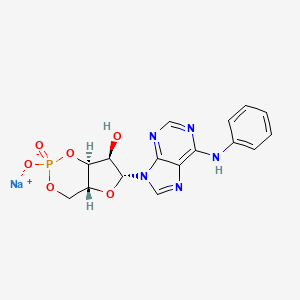 N(6)-phenyl-cAMP