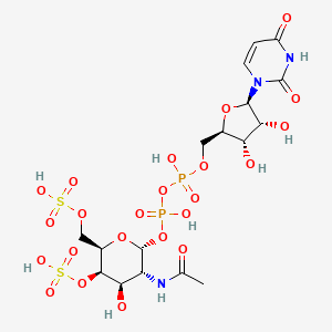UDP-N-acetyl-alpha-D-galactosamine 4,6-bissulfate