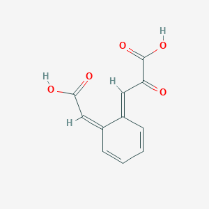 3-[6-(Carboxymethylene)cyclohexa-2,4-dien-1-ylidene]-2-oxopropanate