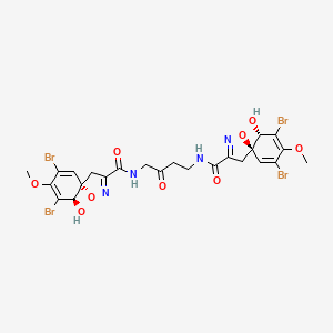 molecular formula C24H24Br4N4O9 B1260213 11-Oxoaerothionin 