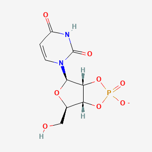 molecular formula C9H10N2O8P- B1260249 2',3'-环状 UMP(1-) 