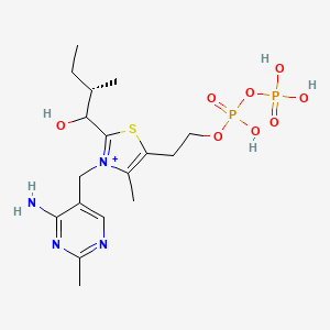 molecular formula C17H29N4O8P2S+ B1260280 2-Methyl-1-hydroxybutyl-ThPP 