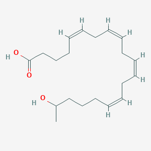 molecular formula C20H32O3 B1260283 19-羟基花生四烯酸 