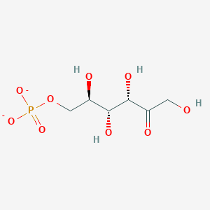molecular formula C6H11O9P-2 B1260299 酮-D-果糖 6-磷酸 