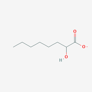 molecular formula C8H15O3- B1260312 α-羟基辛酸酯 