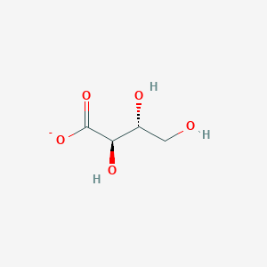molecular formula C4H7O5- B1260317 d-赤藓糖酸 