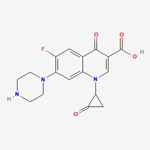 Oxo-ciprofloxacin
