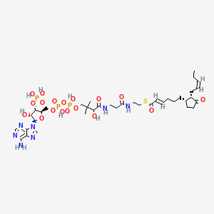 molecular formula C37H58N7O18P3S B1260589 trans-2-Enoyl-OPC6-CoA; (Acyl-CoA); [M+H]+ 