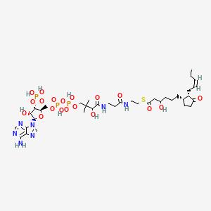 3-Hydroxy-OPC6-CoA
