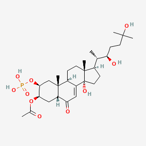 molecular formula C29H47O10P B1260729 3-O-acetylecdysone 2-phosphate 