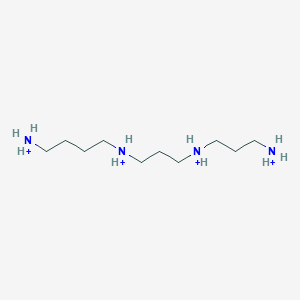 molecular formula C10H30N4+4 B1260832 Thermosperminium(4+) 