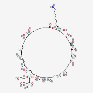 molecular formula C72H133NO22 B1260857 48-(8-Aminooctan-2-yl)-8,10,16,20,24,26,28,32,36,38,40,42,44,46-tetradecahydroxy-9,15,17,19,21,25,31,33,39,41,47-undecamethyl-23-[3,4,5-trihydroxy-6-(hydroxymethyl)oxan-2-yl]oxy-1-oxacyclooctatetraconta-13,17,21,29-tetraen-2-one 