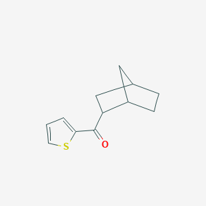 molecular formula C12H14OS B12608754 (Bicyclo[2.2.1]heptan-2-yl)(thiophen-2-yl)methanone CAS No. 917906-11-7