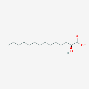 (2S)-2-hydroxytetradecanoate