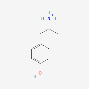 molecular formula C9H14NO+ B1260975 alpha-Methyltyramine 