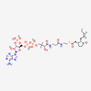 (+)-7-Isojasmonic acid CoA