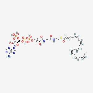 molecular formula C45H68N7O17P3S B1261181 (2E,6Z,9Z,12Z,15Z,18Z,21Z)-Tetracosahepta-2,6,9,12,15,18,21-enoyl-CoA 