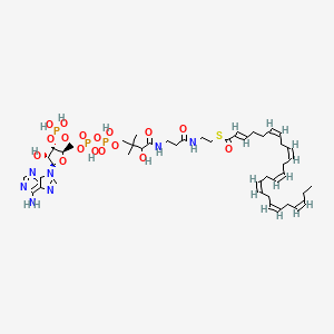 (2E,6Z,9Z,12Z,15Z,18Z,21Z)-Tetracosahepta-2,6,9,12,15,18,21-enoyl-CoA