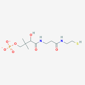 Pantetheine 4'-phosphate(2-)