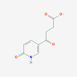 molecular formula C9H8NO4- B1261211 4-(6-Hydroxypyridin-3-yl)-4-oxobutyrate 