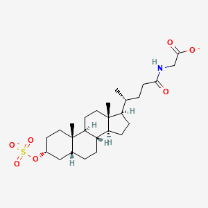 molecular formula C26H41NO7S-2 B1261253 Sulfoglycolithocholate(2-) 