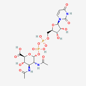 molecular formula C19H28N4O18P2 B1261263 UDP-alpha-D-GlcNAc3NAcA 