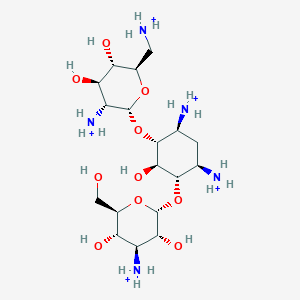 molecular formula C18H42N5O10+5 B1261298 kanamycin B(5+) 