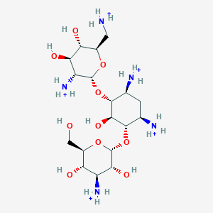 molecular formula C18H42N5O10+5 B1261298 Kanamycin B 