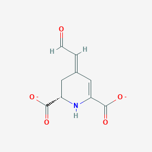 molecular formula C9H7NO5-2 B1261332 Betalamate 