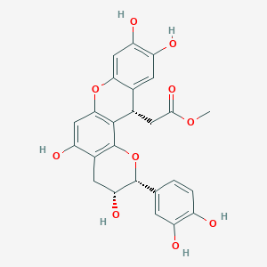 molecular formula C25H22O10 B1261334 卡蒂瓜宁 B 