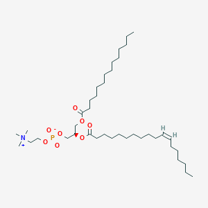 molecular formula C40H78NO8P B1261336 1-tetradecanoyl-2-(11Z-octadecenoyl)-sn-glycero-3-phosphocholine 