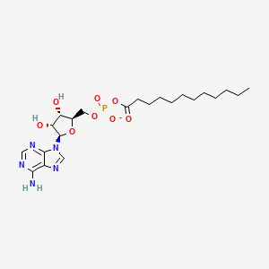 dodecanoyl-AMP(1-)