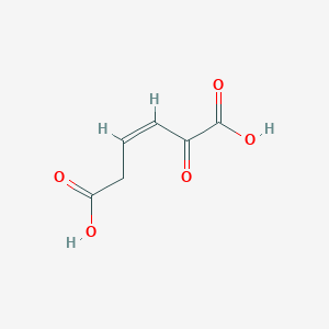 molecular formula C6H6O5 B1261416 (3Z)-2-oxohex-3-enedioic acid 