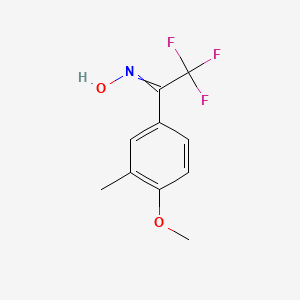 molecular formula C10H10F3NO2 B12614173 N-[2,2,2-Trifluoro-1-(4-methoxy-3-methylphenyl)ethylidene]hydroxylamine CAS No. 919530-45-3