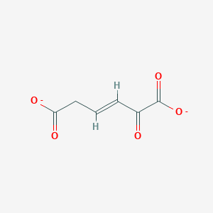 molecular formula C6H4O5-2 B1261524 (3E)-2-oxohex-3-enedioate 