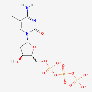 molecular formula C10H14N3O13P3-4 B1261554 5-methyl-dCTP(4-) 
