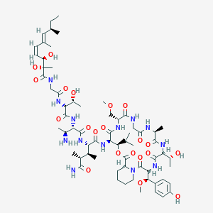 molecular formula C65H103N13O21 B1261571 Papuamide B 