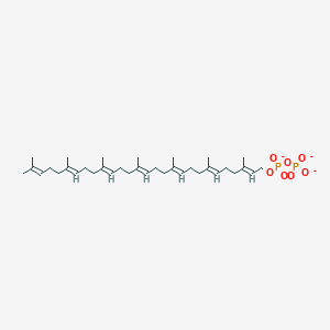 molecular formula C35H57O7P2-3 B1261589 All-trans-heptaprenyl diphosphate(3-) 