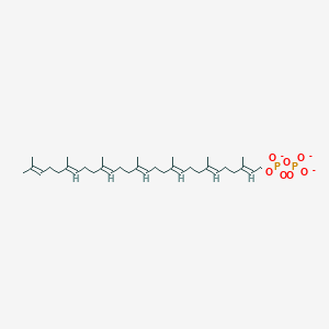 All-trans-heptaprenyl diphosphate(3-)