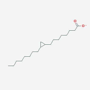 molecular formula C19H35O2- B1261593 Dihydrosterculate 