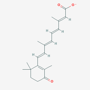molecular formula C20H25O3- B1261597 all-trans-4-Oxoretinoate 