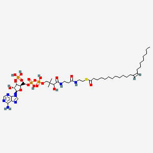 molecular formula C43H76N7O17P3S B1261607 Docosenoyl-CoA 